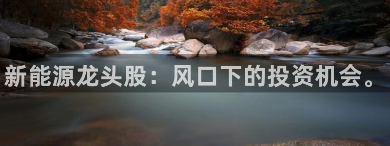 新宝gg会员