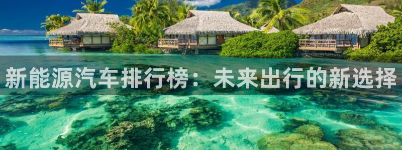 新宝gg开奖