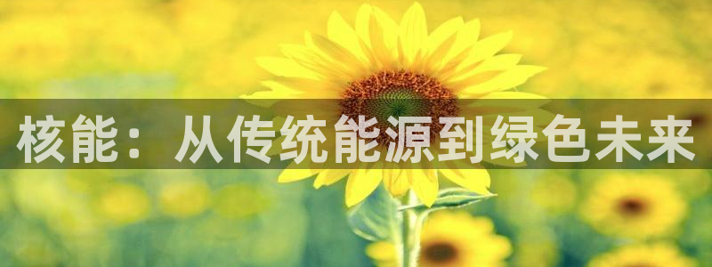 新宝GG速度