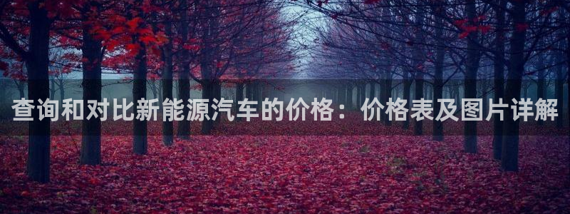 新宝gg在哪开户