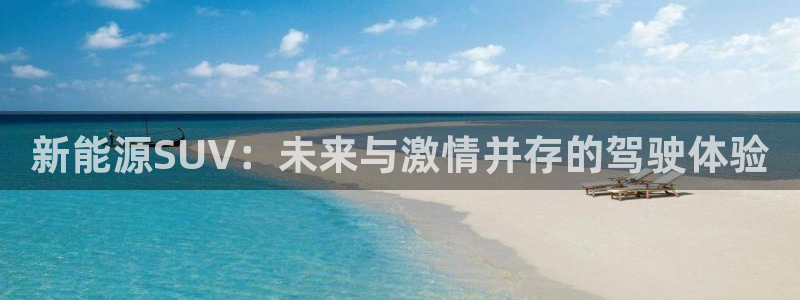 网站是新宝gg