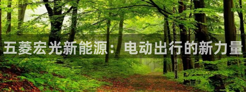 新宝gg资料