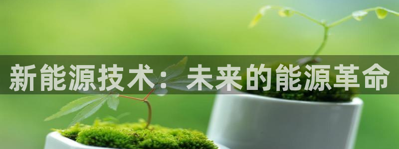 新宝gg挣钱