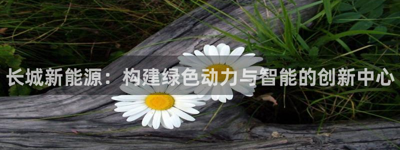 新宝gg app：长城新能源：构建绿色动