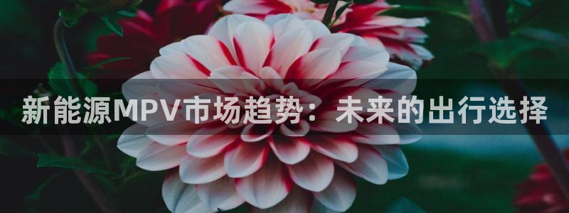 新宝gg网娱乐