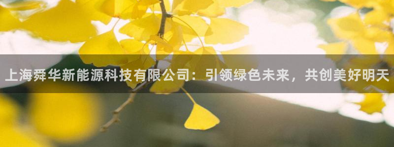 下载新宝gg：上海舜华新能源科技有限公司
