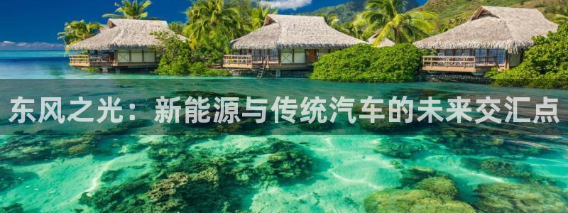 谁有新宝GG：东风之光：新能源与传统汽车