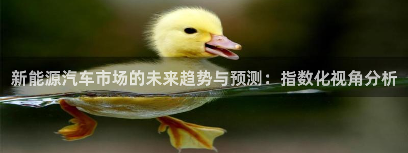 新宝gg会员登录：新能源汽车市场的未来趋