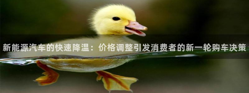 新宝GG勒55312：新能源汽车的快速降