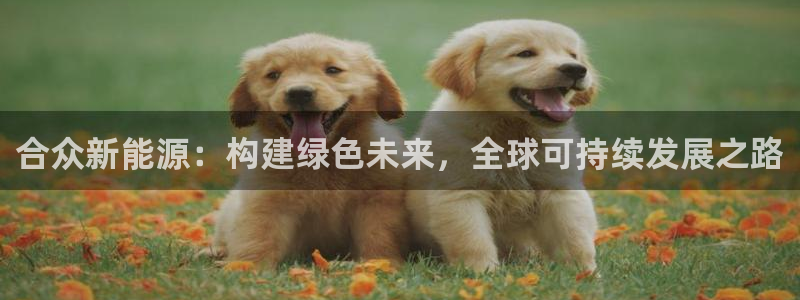 新宝GG朔78778:合众新能源:构建绿色未来,全球可持续发