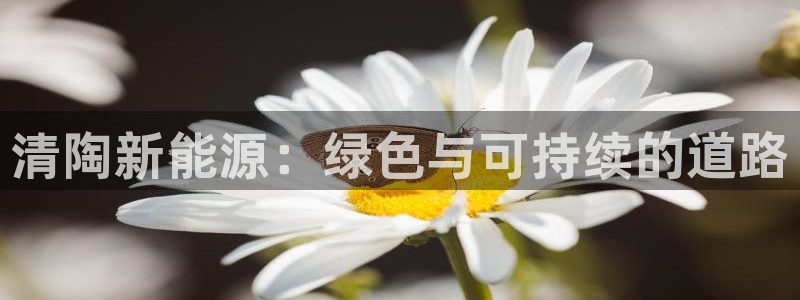 新宝gg109