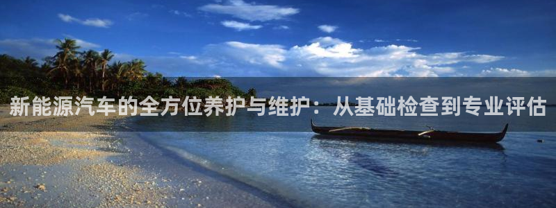 新宝gg赚钱：新能源汽车的全方位养护与维