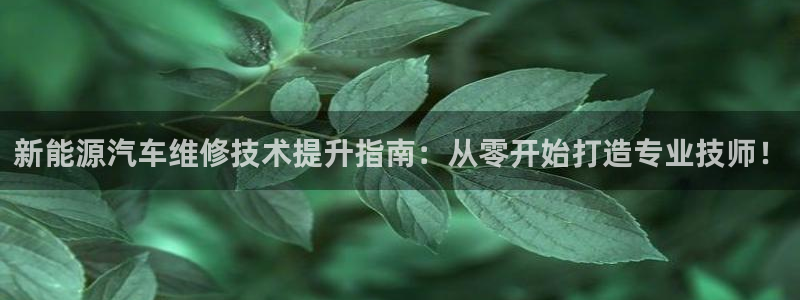 新宝 gg 登：新能源汽车维修技术提升指