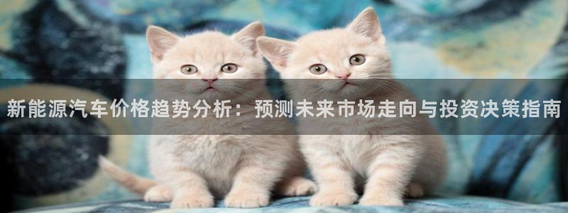 新宝gg介绍
