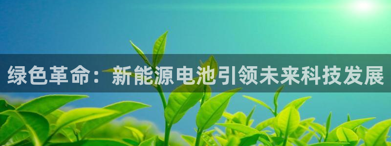 新宝gg网投