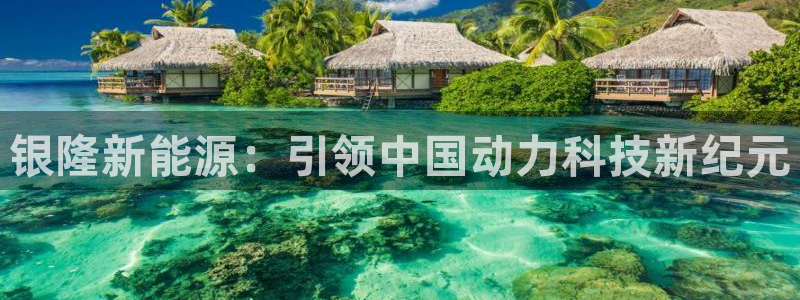 谁有新宝GG