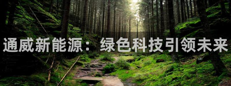 新宝gg 登录页面