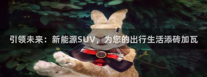 新宝gg合法吗