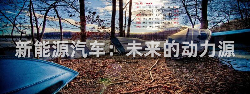 新宝gg用哪个浏览器