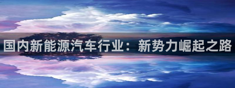 新宝GG冰冰：国内新能源汽车行业：新势力