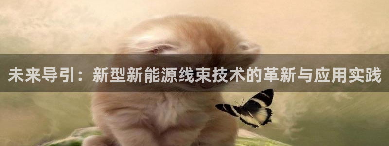新宝gg主管、：未来导引：新型新能源线束