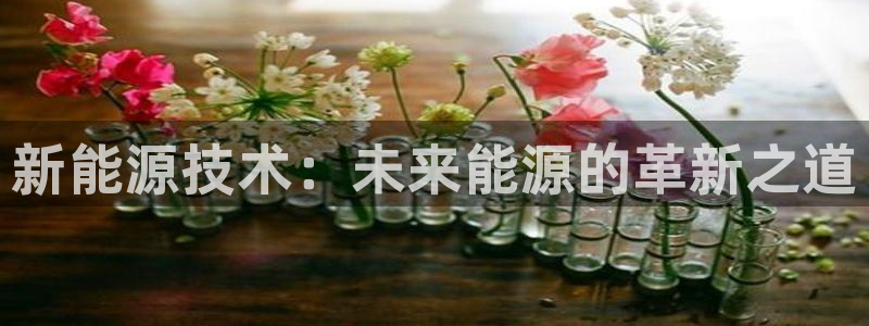 新宝GG栏770823：新能源技术：未来