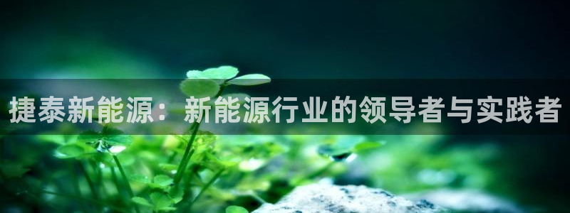 新宝gg网娱乐：捷泰新能源：新能源行业的