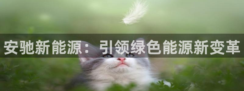 新宝gg龙腾：安驰新能源：引领绿色能源新
