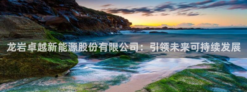 新宝gg客服：龙岩卓越新能源股份有限公司