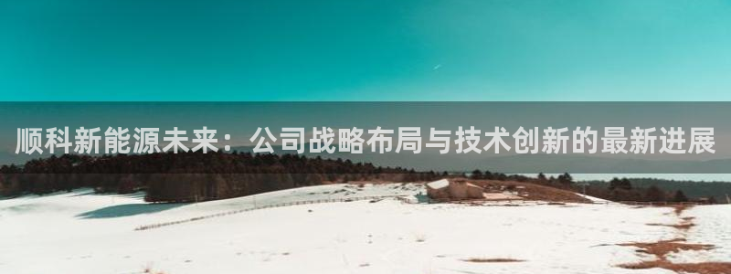 新宝gg 黑：顺科新能源未来：公司战略布