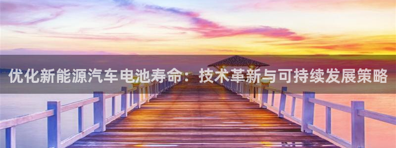 新宝GG跑路：优化新能源汽车电池寿命：技