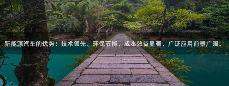 新宝gg老板：新能源汽车的优势：技术领先