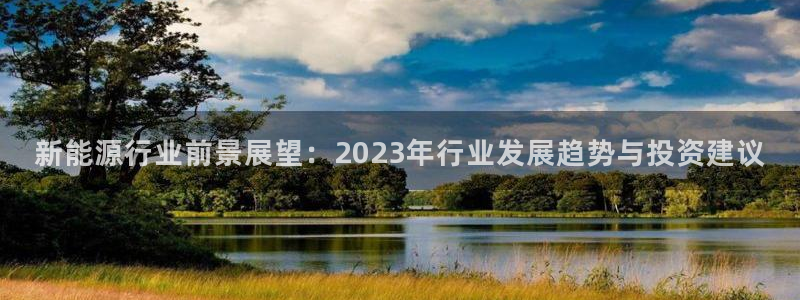 新宝gg注册cqdellar:新能源行业前景展望:2023年