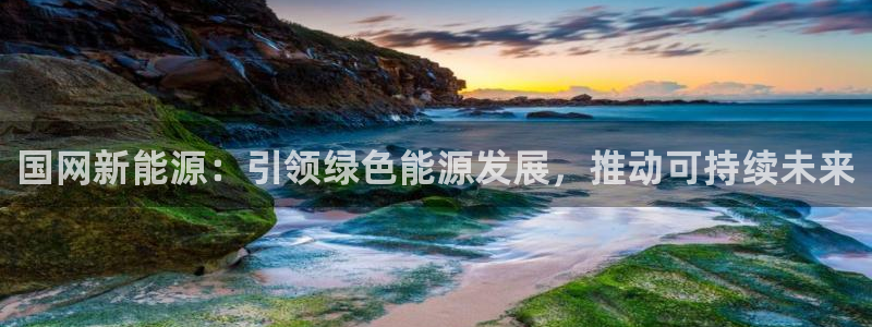 新宝gg注册q 26880:国网新能源:引领绿色能源发展,推