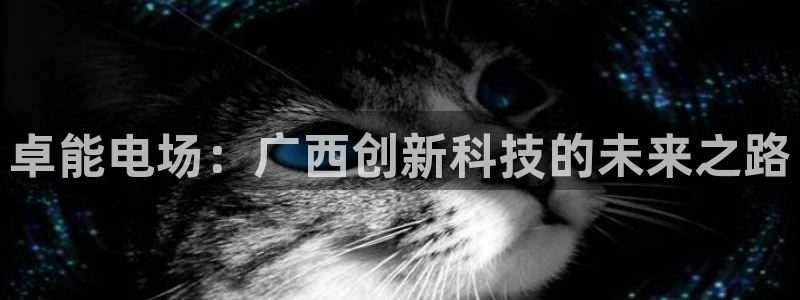 新宝gg:卓能电场:广西创新科技的未来之路