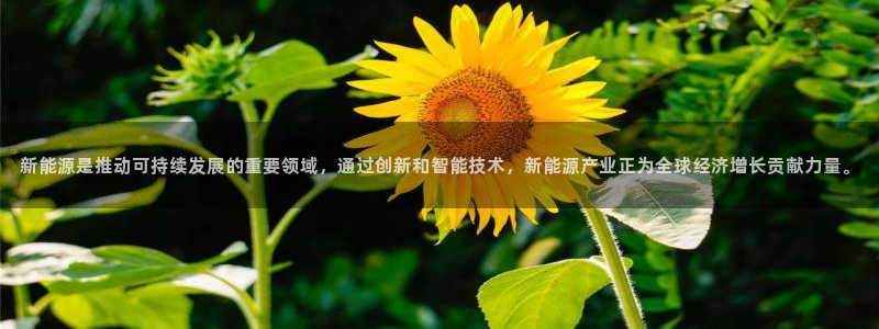 新宝gg会员登录:新能源是推动可持续发展的重要领域,通过创新