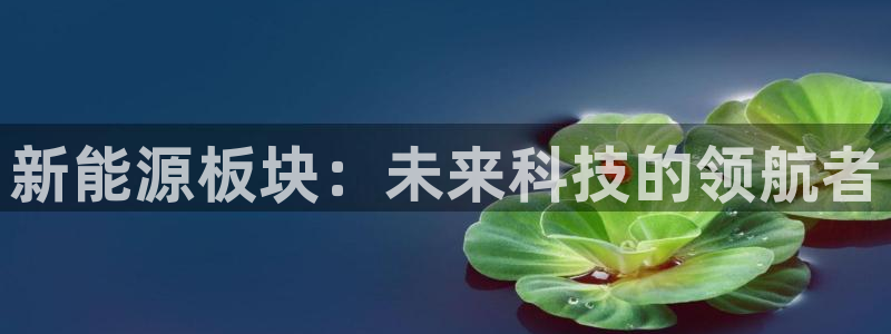 新宝gg最:新能源板块:未来科技的领航者