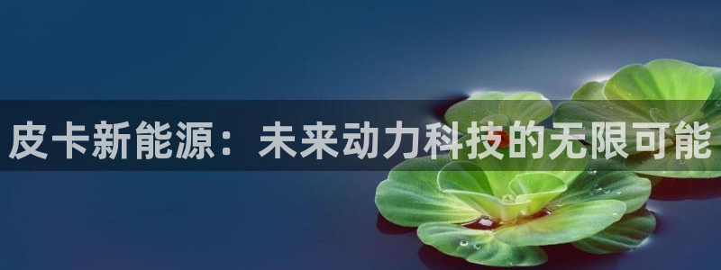 新宝gg信息