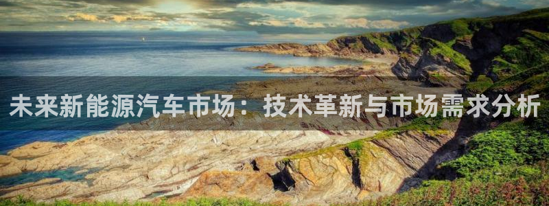 新宝gg是新宝几:未来新能源汽车市场:技术革新与市场需求分析