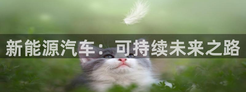 新宝gg游戏登录:新能源汽车:可持续未来之路
