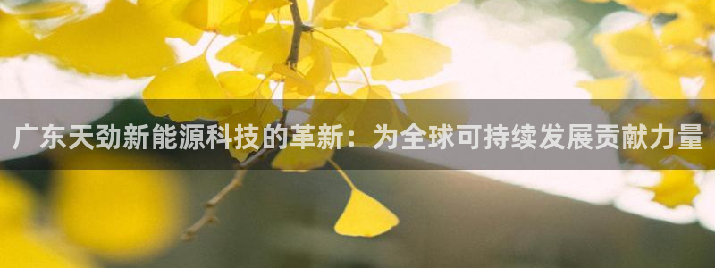 新宝gg首页