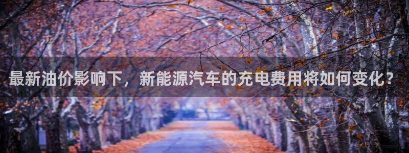 新宝GG娱乐-上皇巢网