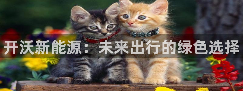 新宝gg登