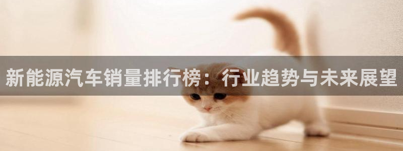 新宝gg注册新账号:新能源汽车销量排行榜:行业趋势与未来展望