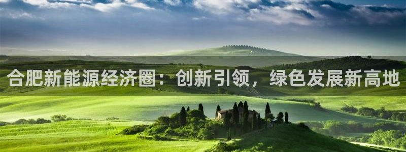 新宝gg主管:合肥新能源经济圈:创新引领,绿色发展新高地