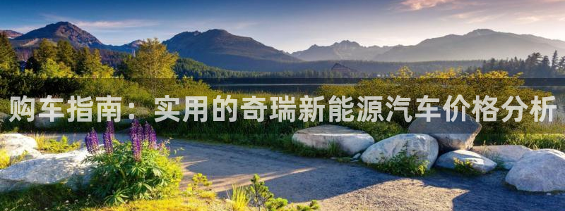 新宝gg手机注册官网：购车指南：实用的奇