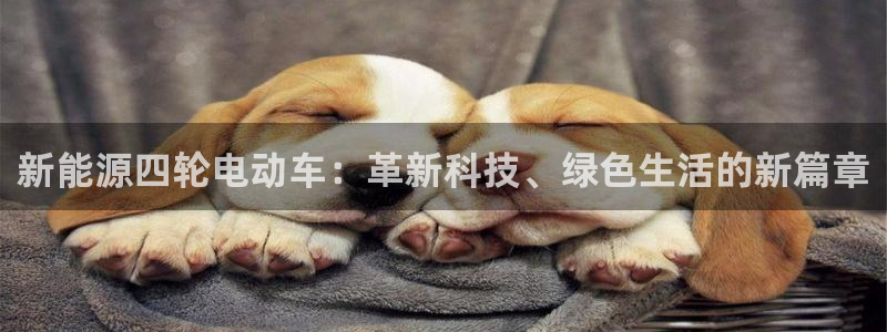 新宝gg网赚：新能源四轮电动车：革新科技