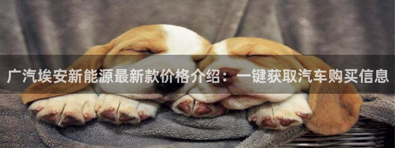 新宝gg注册1956：广汽埃安新能源最新