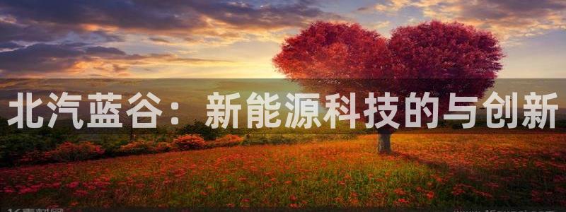 认准新宝gg