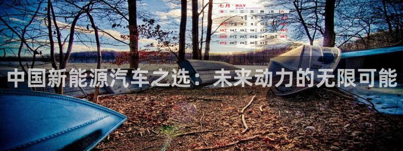 新宝3GG:中国新能源汽车之选:未来动力的无限可能